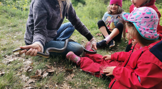 Geborgenheit  im Waldkindergarten